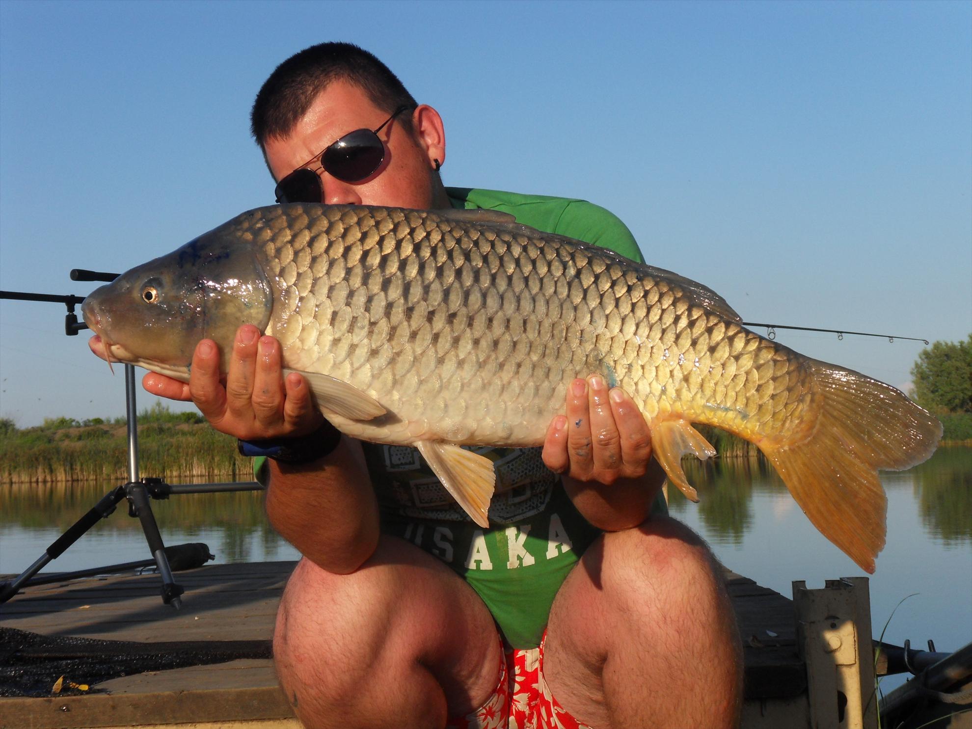 Nagykallo 2011 - nagykallo2011-236.JPG